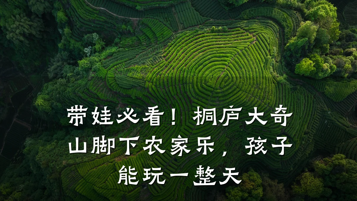 带娃必看!桐庐大奇山脚下农家乐,孩子能玩一整天