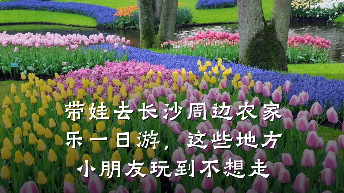 带娃去长沙周边农家乐一日游，这些地方小朋友玩到不想走
