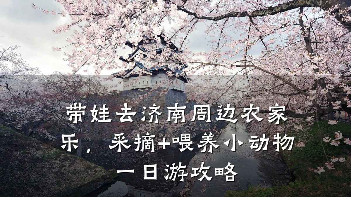 带娃去济南周边农家乐，采摘+喂养小动物一日游攻略