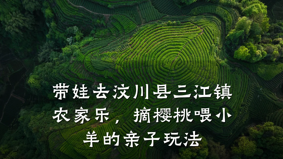 带娃去汶川县三江镇农家乐，摘樱桃喂小羊的亲子玩法