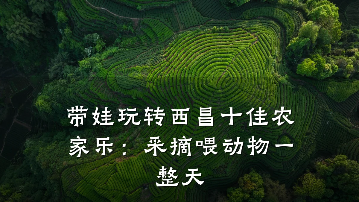 带娃玩转西昌十佳农家乐:采摘喂动物一整天