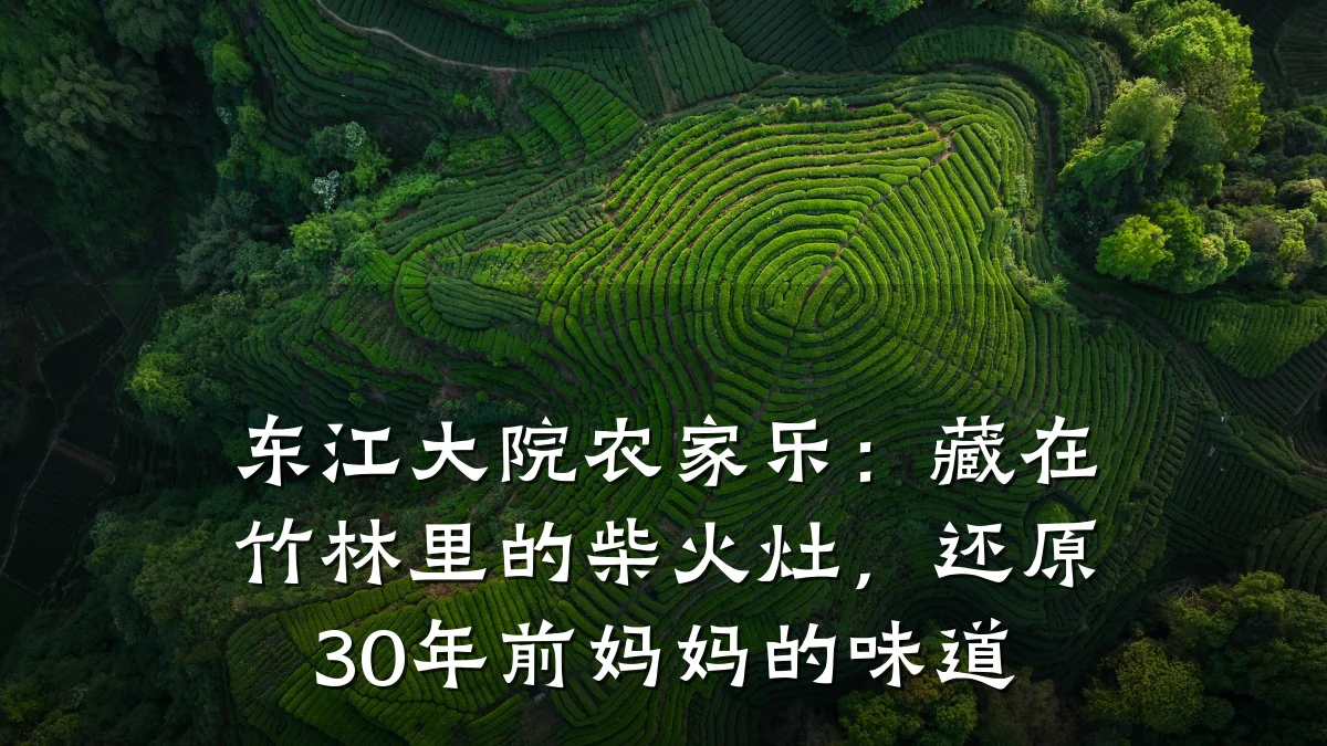 东江大院农家乐:藏在竹林里的柴火灶,还原30年前妈妈的味道