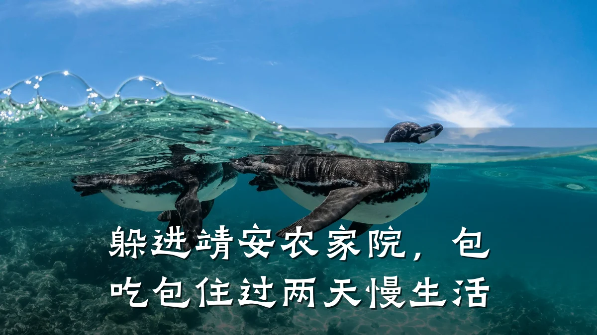 躲进靖安农家院,包吃包住过两天慢生活