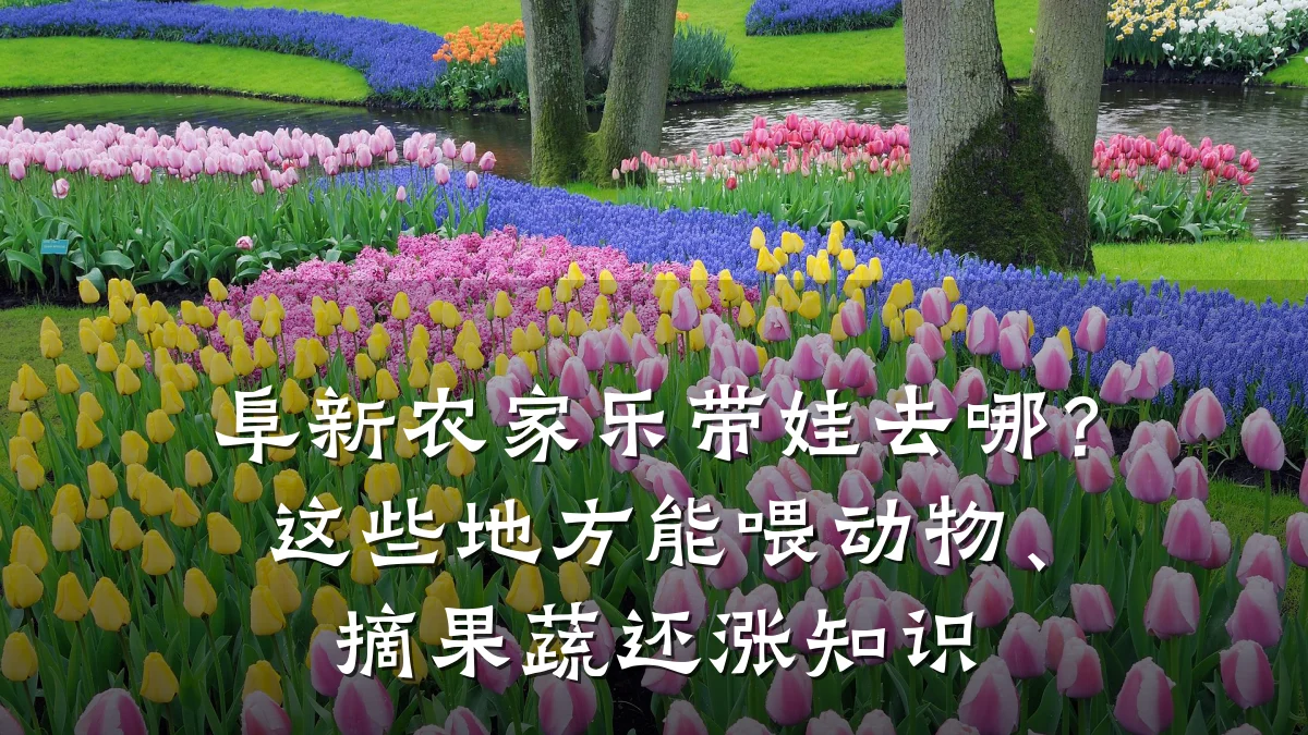 阜新农家乐带娃去哪?这些地方能喂动物、摘果蔬还涨知识