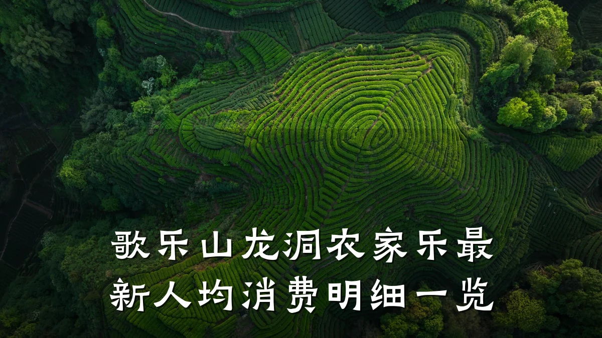 歌乐山龙洞农家乐最新人均消费明细一览