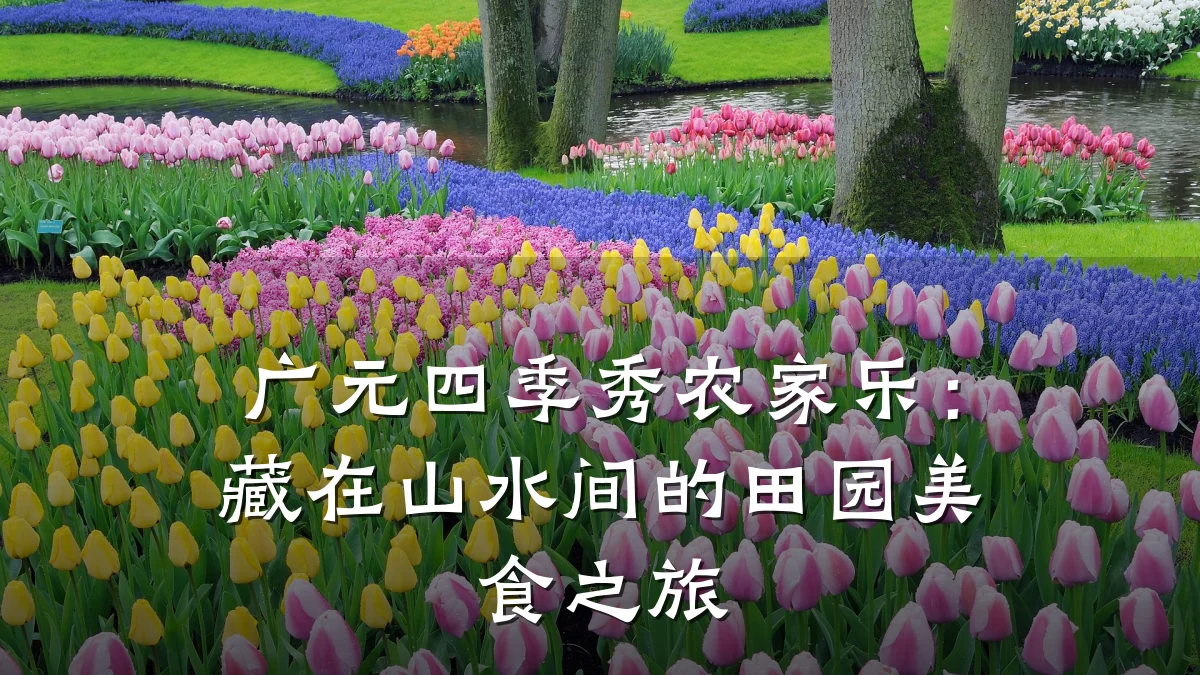 广元四季秀农家乐:藏在山水间的田园美食之旅