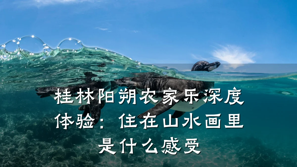 桂林阳朔农家乐深度体验:住在山水画里是什么感受