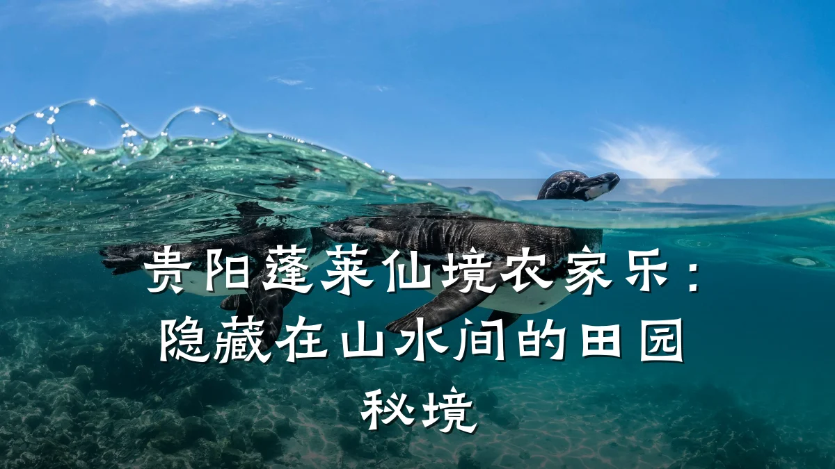 贵阳蓬莱仙境农家乐:隐藏在山水间的田园秘境