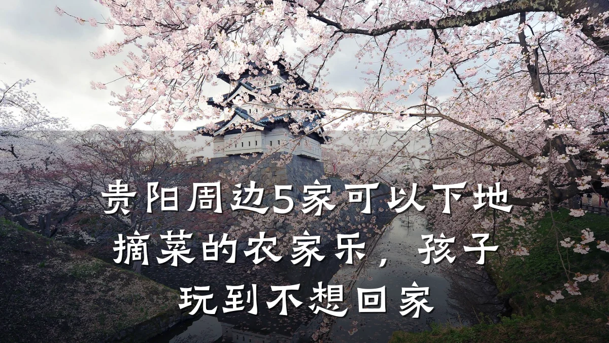 贵阳周边5家可以下地摘菜的农家乐,孩子玩到不想回家