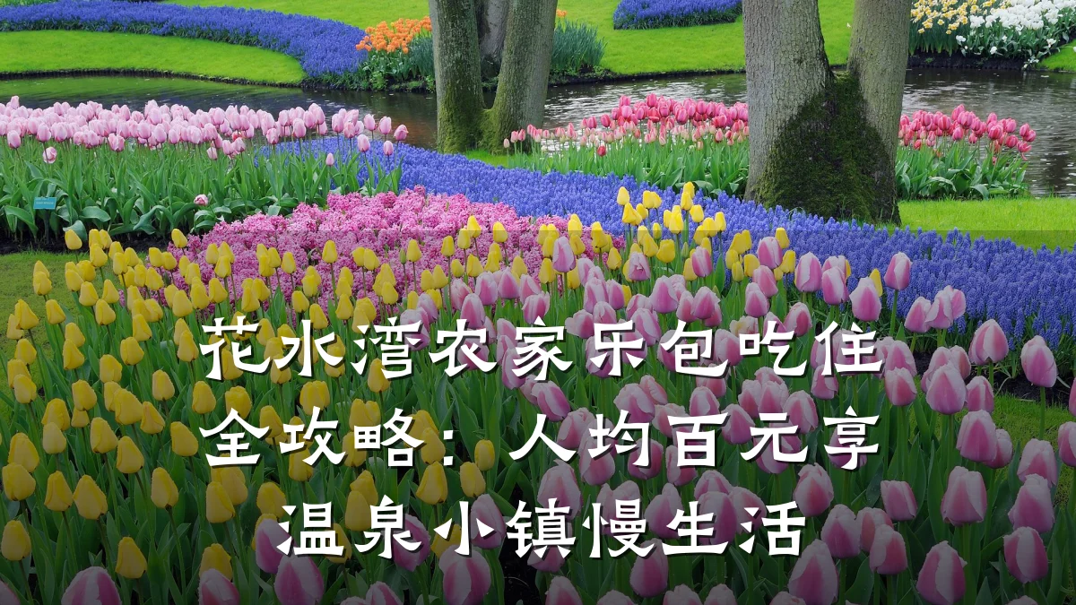 花水湾农家乐包吃住全攻略:人均百元享温泉小镇慢生活
