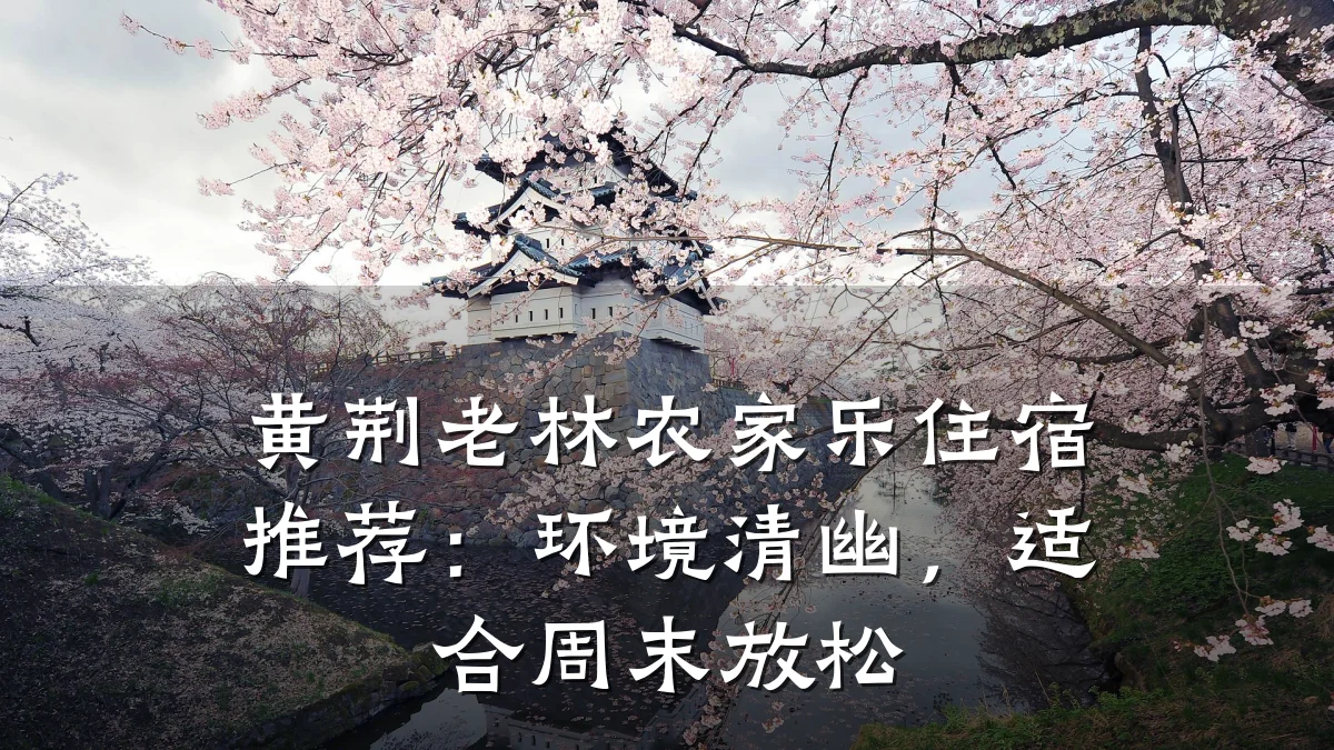 黄荆老林农家乐住宿推荐:环境清幽,适合周末放松