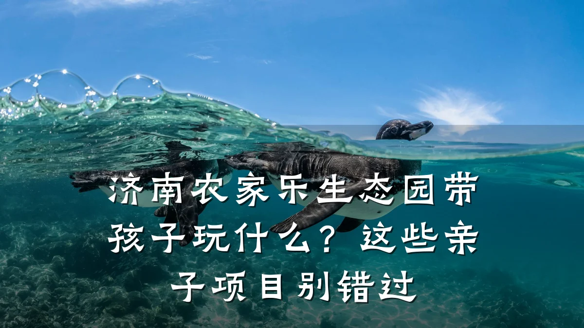 济南农家乐生态园带孩子玩什么?这些亲子项目别错过