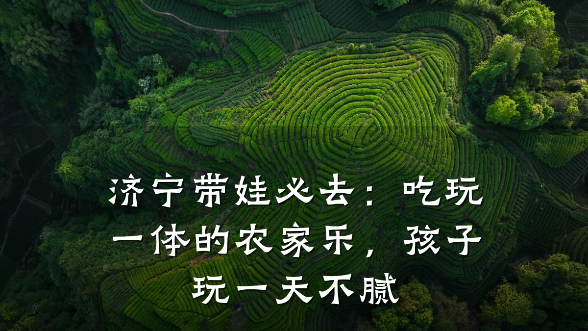 济宁带娃必去：吃玩一体的农家乐，孩子玩一天不腻
