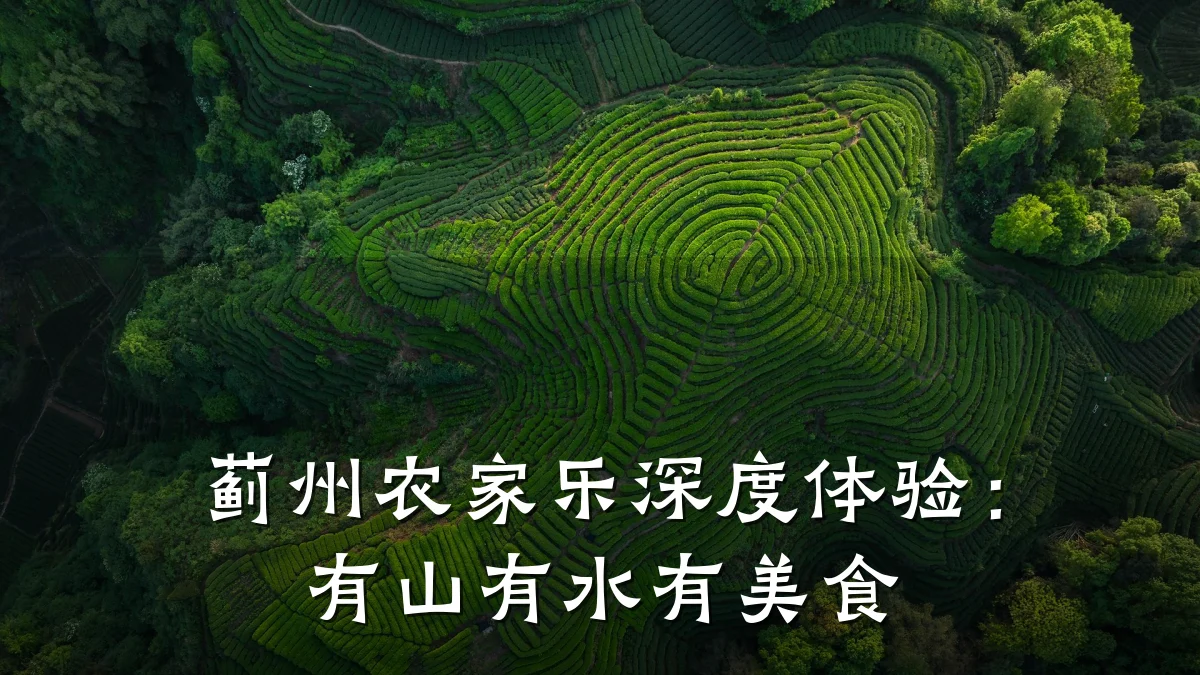 蓟州农家乐深度体验:有山有水有美食