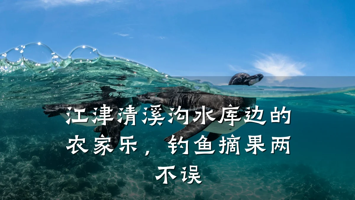 江津清溪沟水库边的农家乐,钓鱼摘果两不误