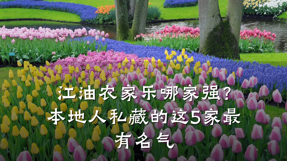 江油农家乐哪家强？本地人私藏的这5家最有名气