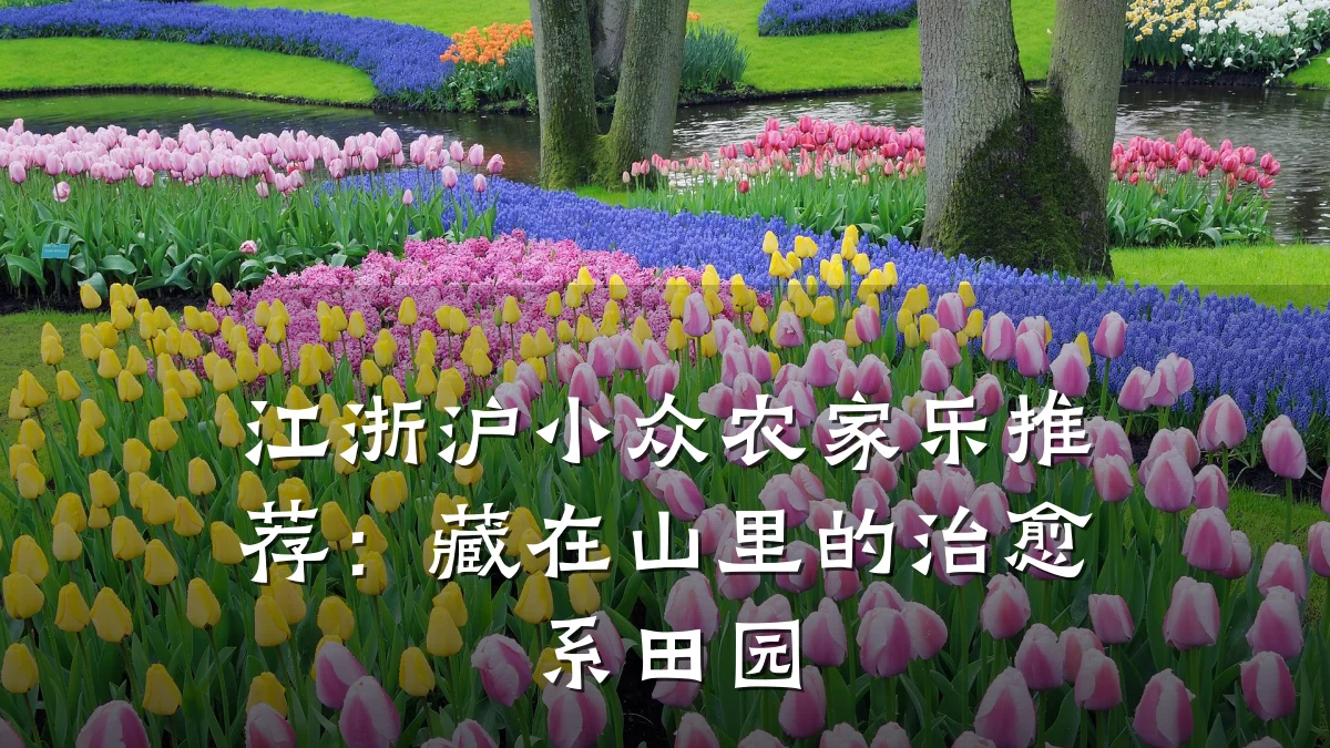 江浙沪小众农家乐推荐：藏在山里的治愈系田园