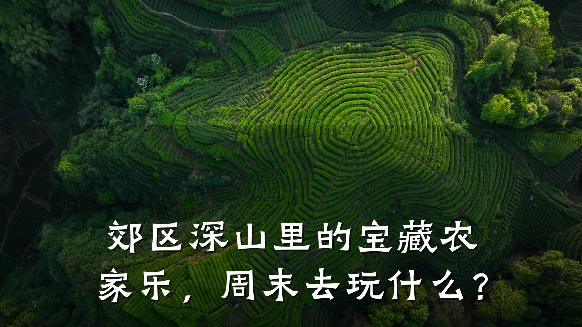 郊区深山里的宝藏农家乐,周末去玩什么?