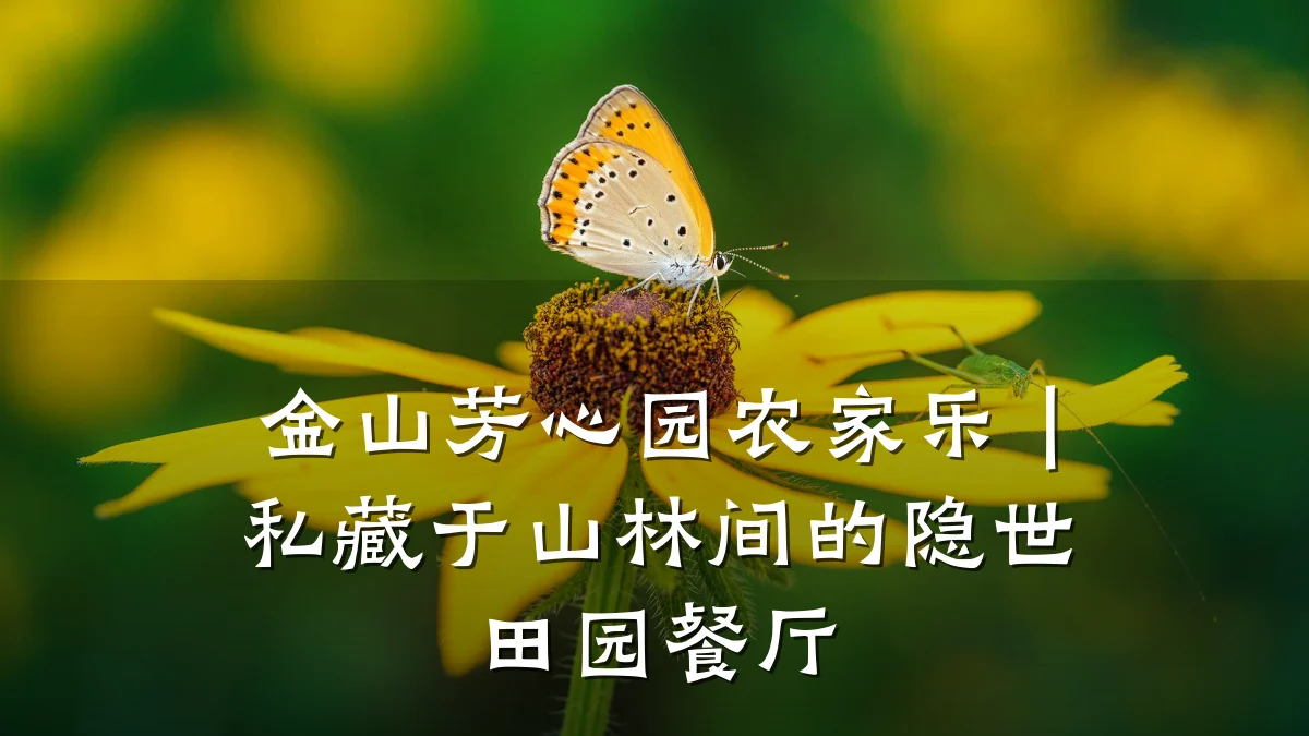 金山芳心园农家乐｜私藏于山林间的隐世田园餐厅