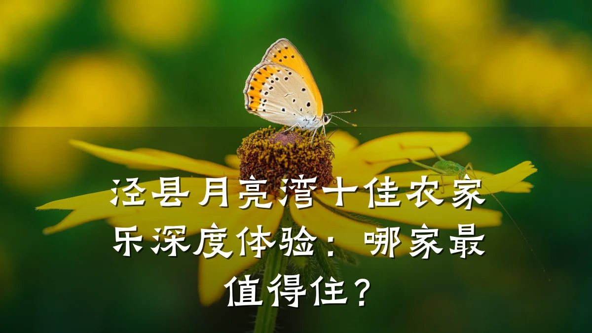 泾县月亮湾十佳农家乐深度体验：哪家最值得住？