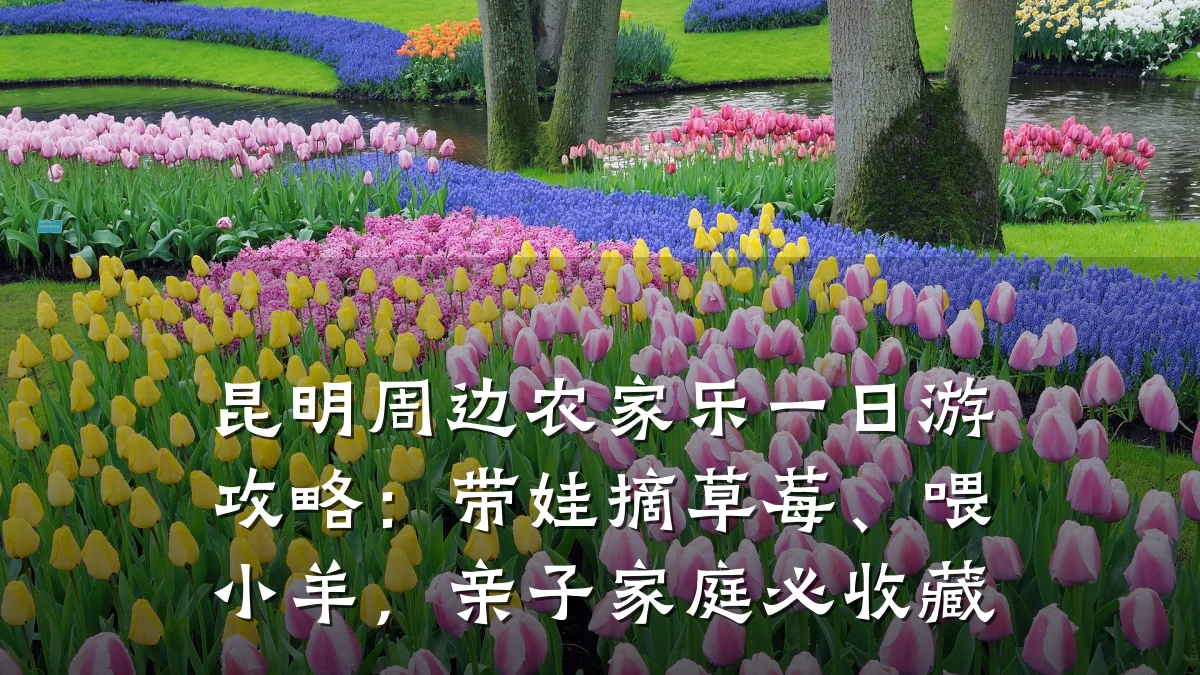 昆明周边农家乐一日游攻略：带娃摘草莓、喂小羊，亲子家庭必收藏