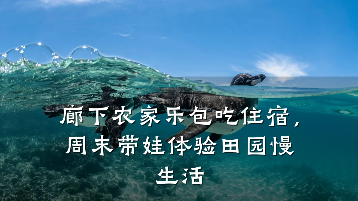 廊下农家乐包吃住宿,周末带娃体验田园慢生活