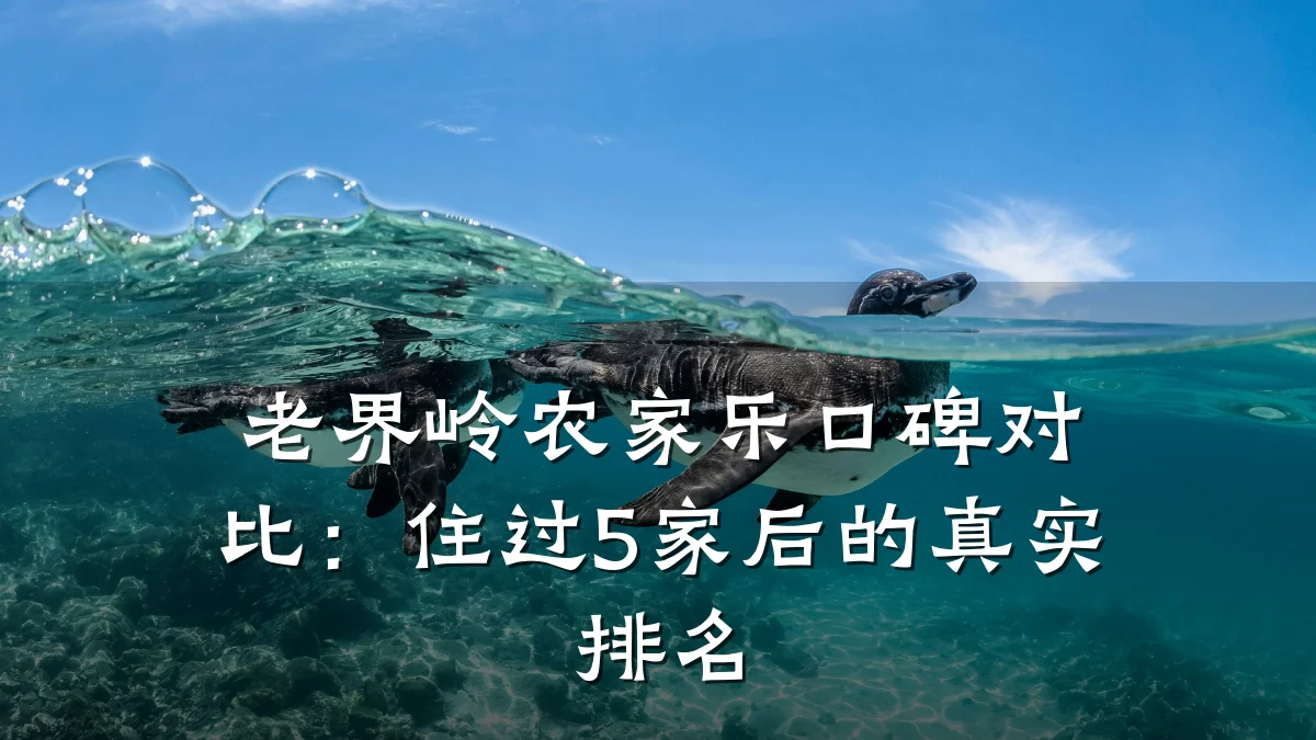老界岭农家乐口碑对比:住过5家后的真实排名