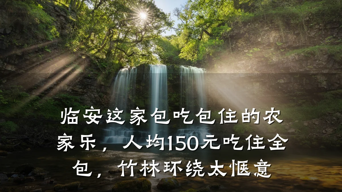 临安这家包吃包住的农家乐,人均150元吃住全包,竹林环绕太惬意