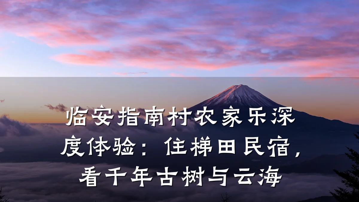 临安指南村农家乐深度体验:住梯田民宿,看千年古树与云海