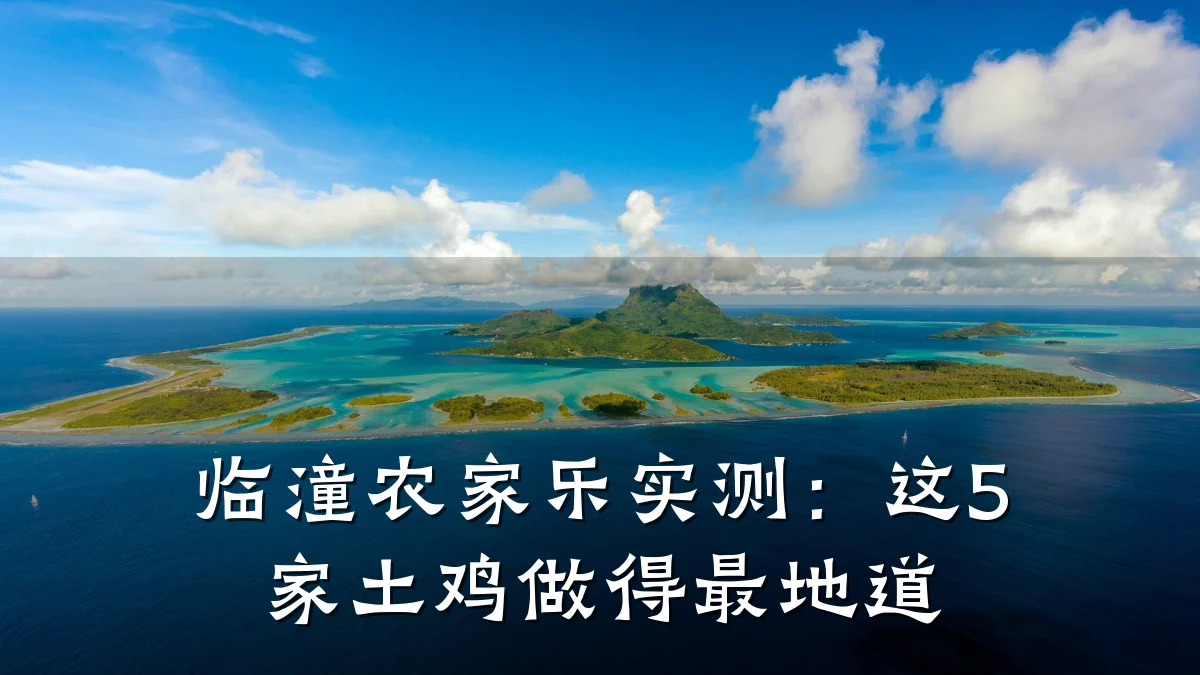 临潼农家乐实测:这5家土鸡做得最地道
