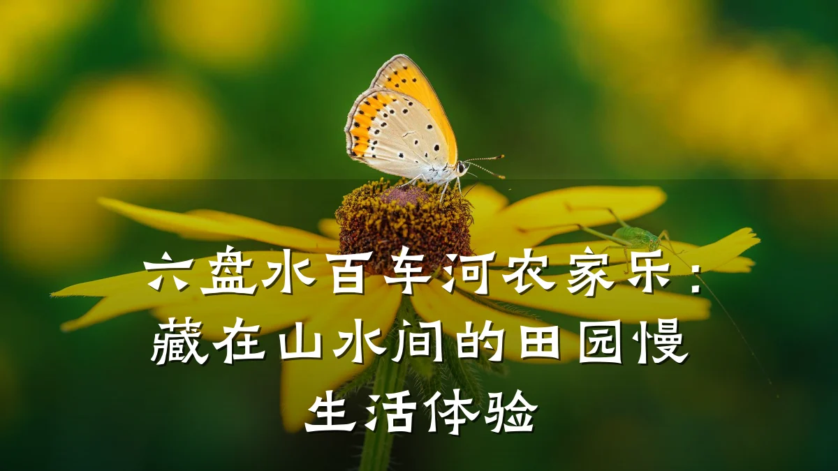 六盘水百车河农家乐：藏在山水间的田园慢生活体验