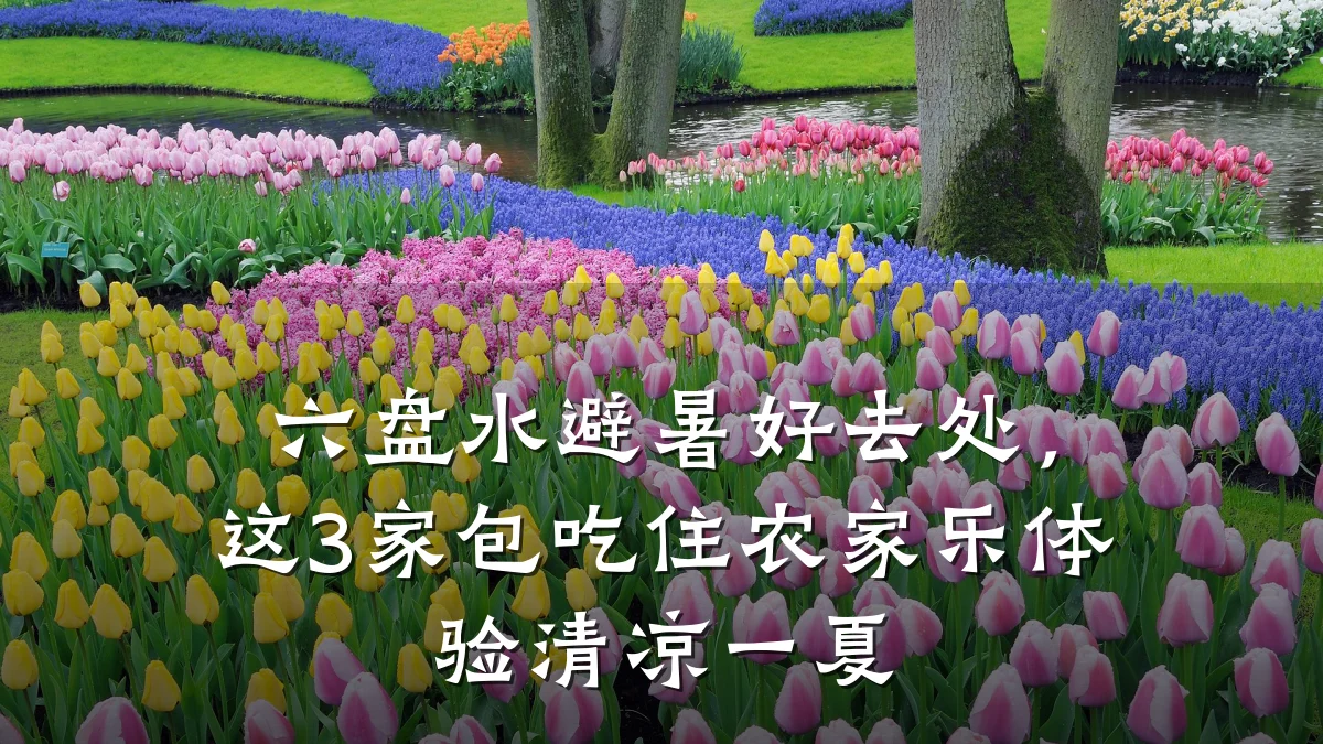 六盘水避暑好去处，这3家包吃住农家乐体验清凉一夏