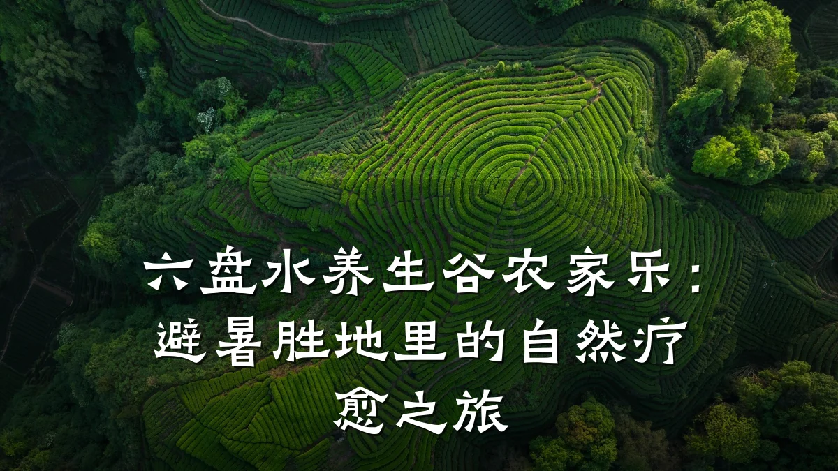 六盘水养生谷农家乐：避暑胜地里的自然疗愈之旅