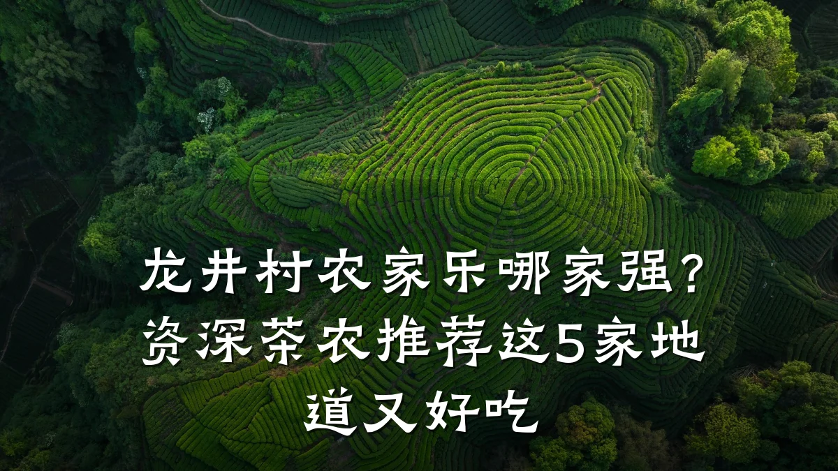 龙井村农家乐哪家强?资深茶农推荐这5家地道又好吃