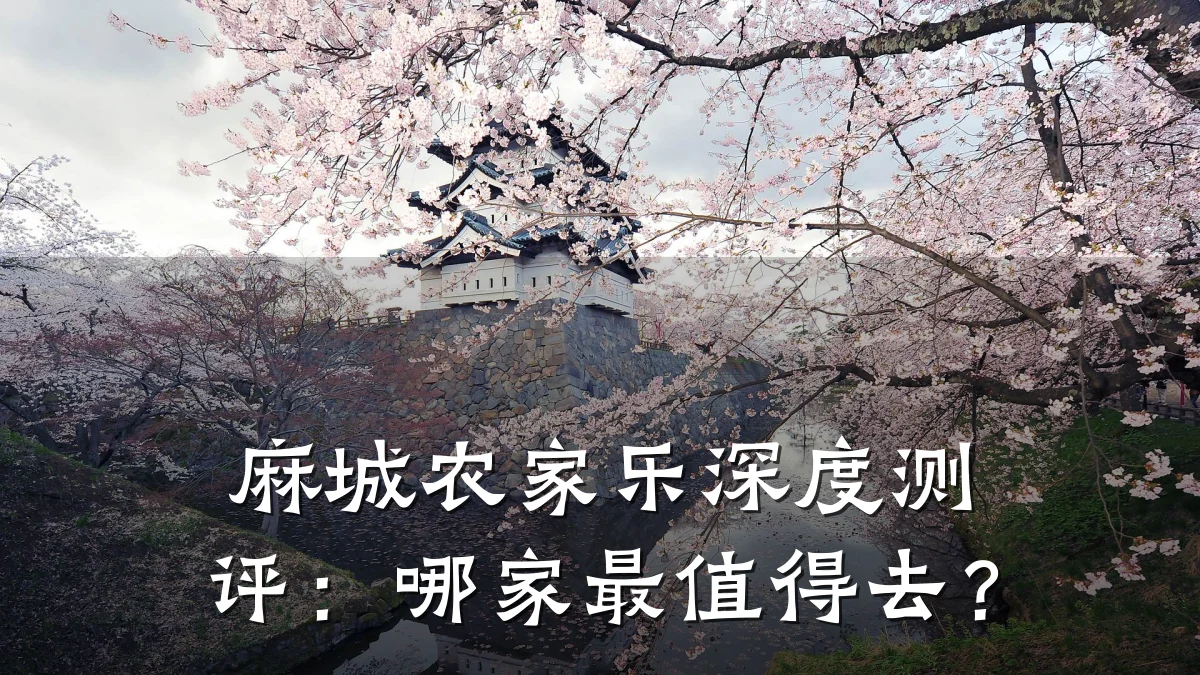 麻城农家乐深度测评:哪家最值得去?