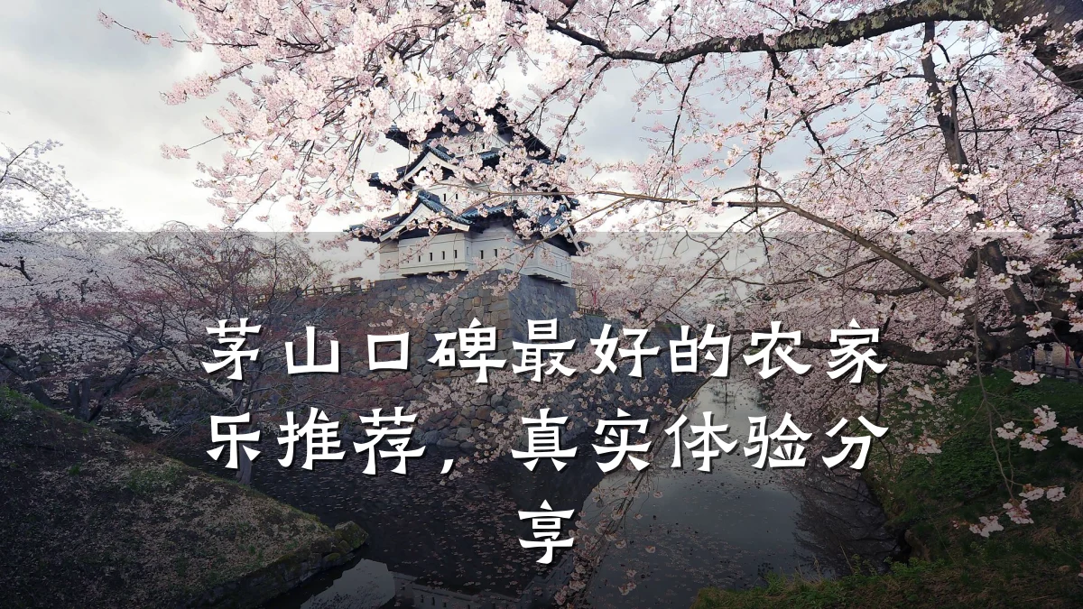 茅山口碑最好的农家乐推荐,真实体验分享