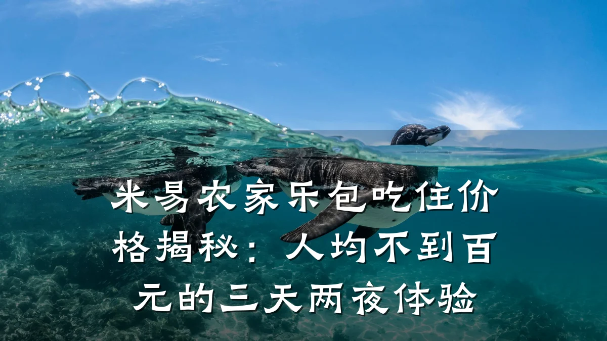 米易农家乐包吃住价格揭秘:人均不到百元的三天两夜体验