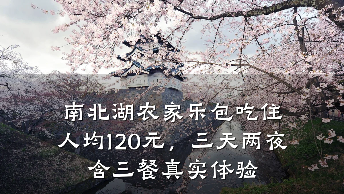 南北湖农家乐包吃住人均120元,三天两夜含三餐真实体验