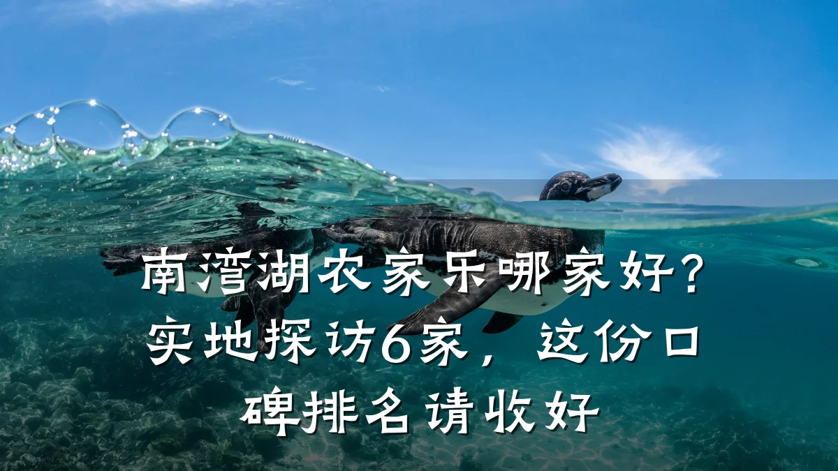 南湾湖农家乐哪家好?实地探访6家,这份口碑排名请收好