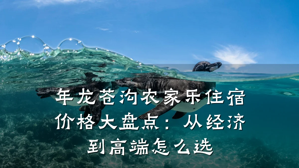 年龙苍沟农家乐住宿价格大盘点:从经济到高端怎么选
