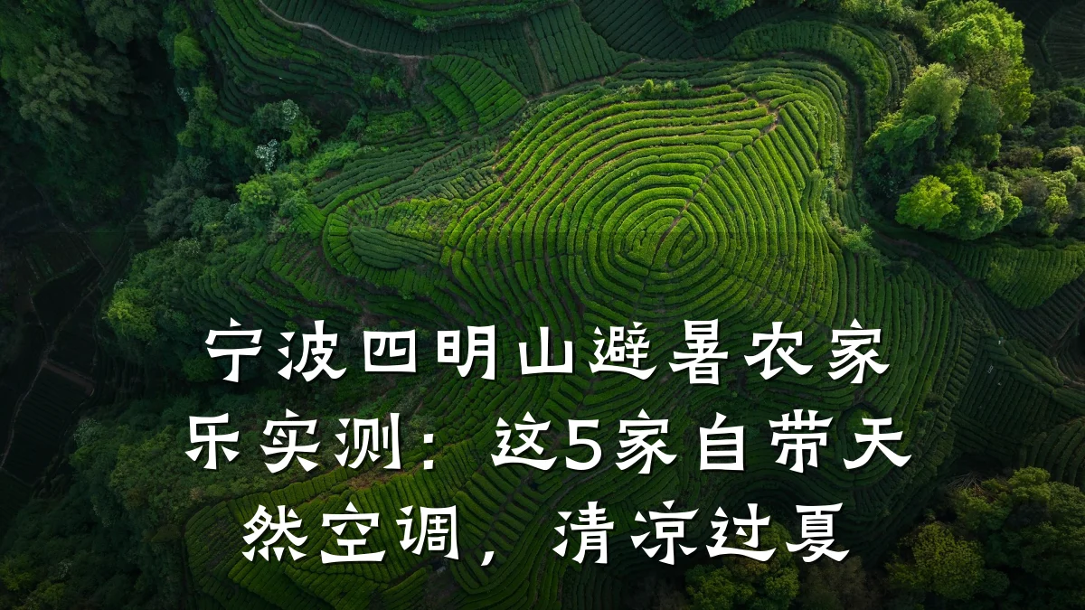 宁波四明山避暑农家乐实测：这5家自带天然空调，清凉过夏