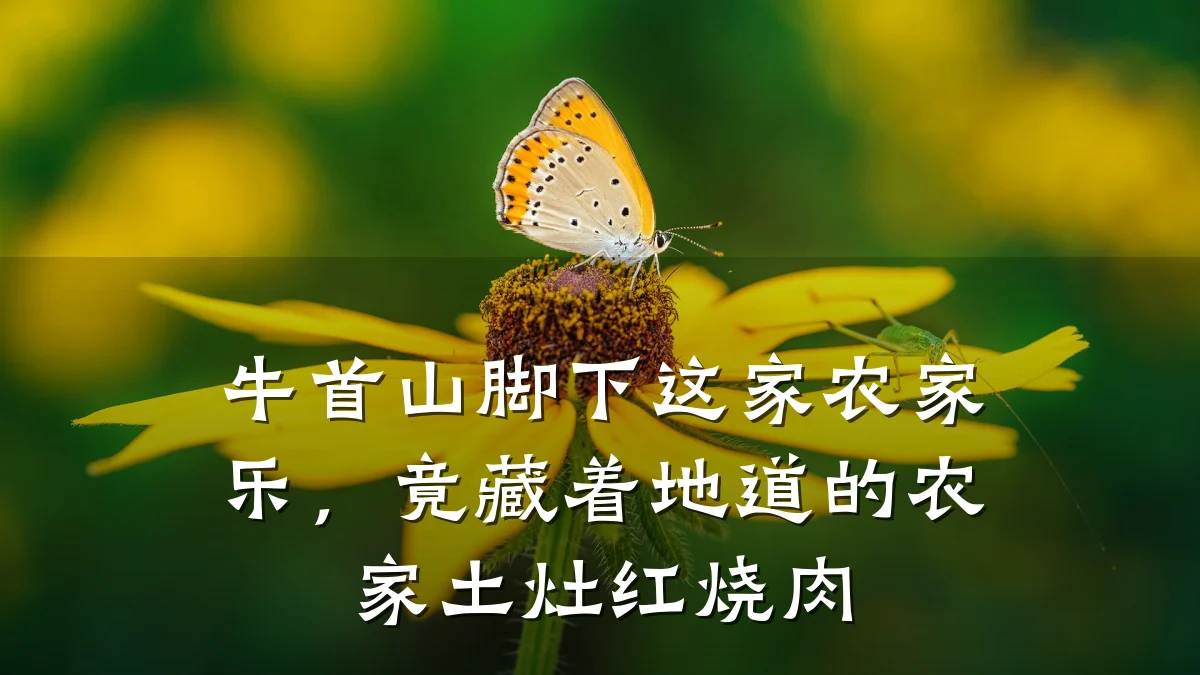 牛首山脚下这家农家乐,竟藏着地道的农家土灶红烧肉