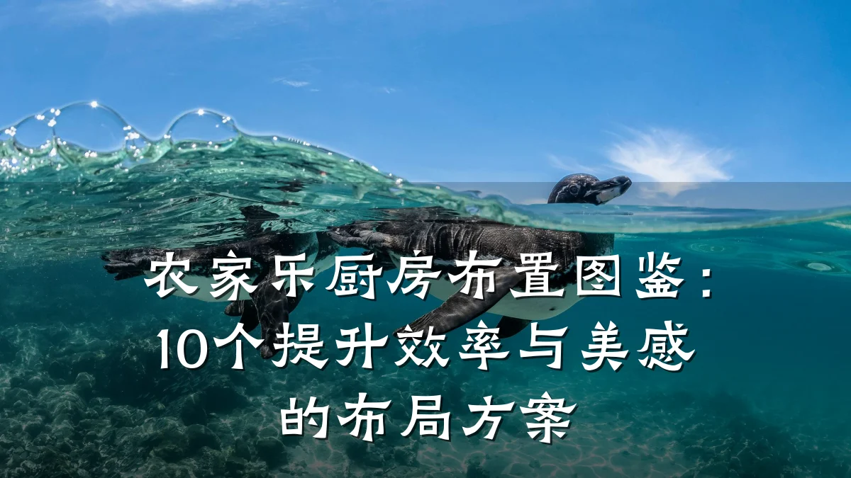 农家乐厨房布置图鉴:10个提升效率与美感的布局方案