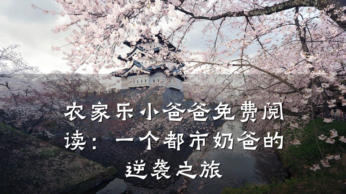 农家乐小爸爸免费阅读:一个都市奶爸的逆袭之旅