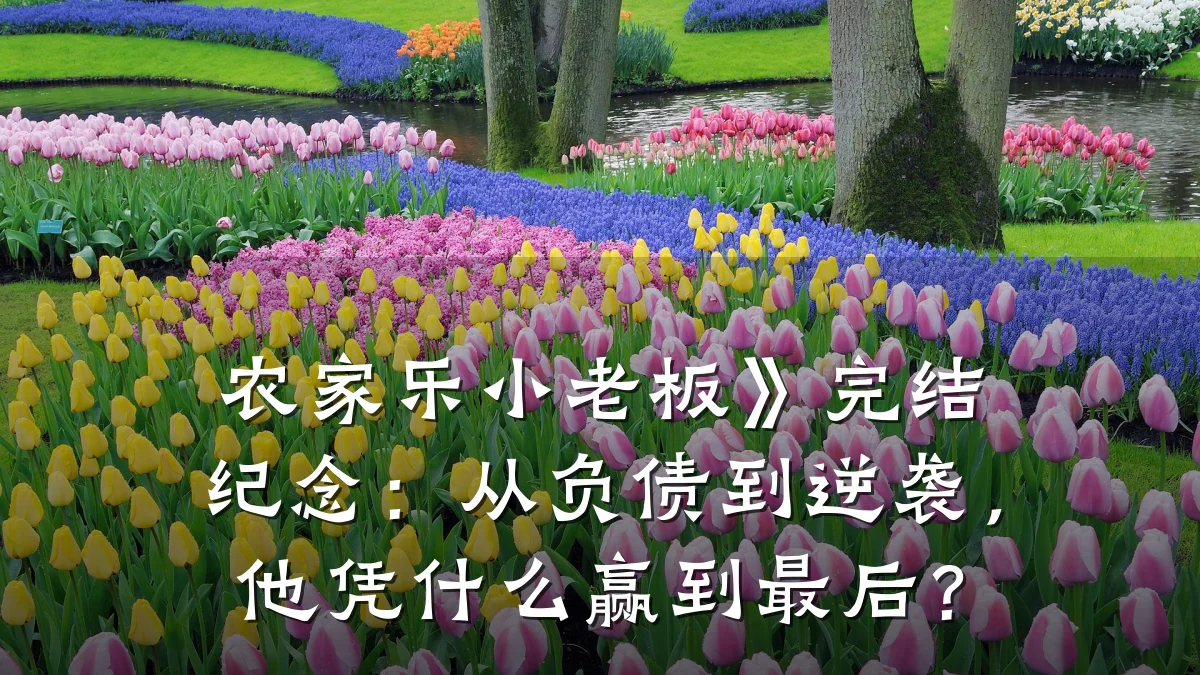 农家乐小老板》完结纪念:从负债到逆袭,他凭什么赢到最后?