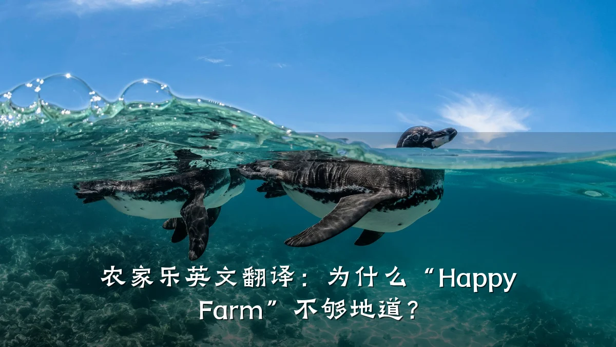 农家乐英文翻译:为什么“Happy Farm”不够地道?