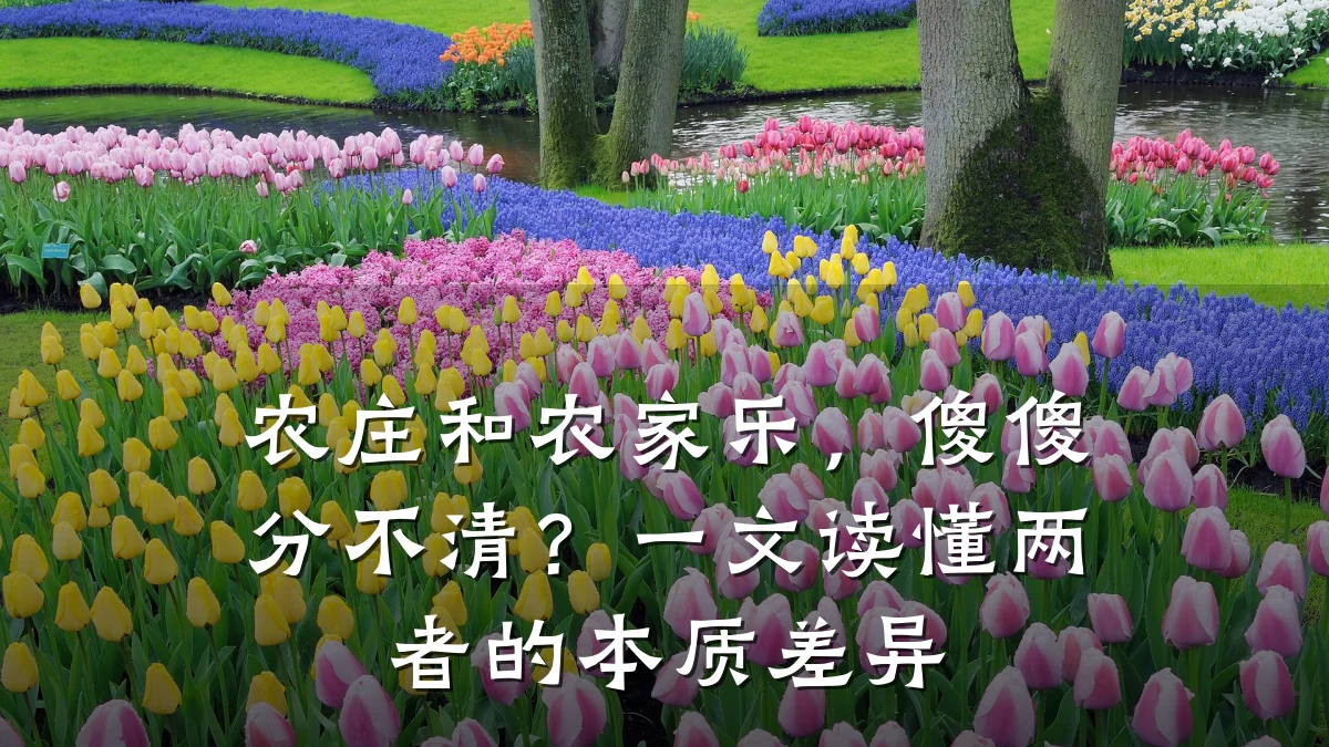 农庄和农家乐,傻傻分不清?一文读懂两者的本质差异