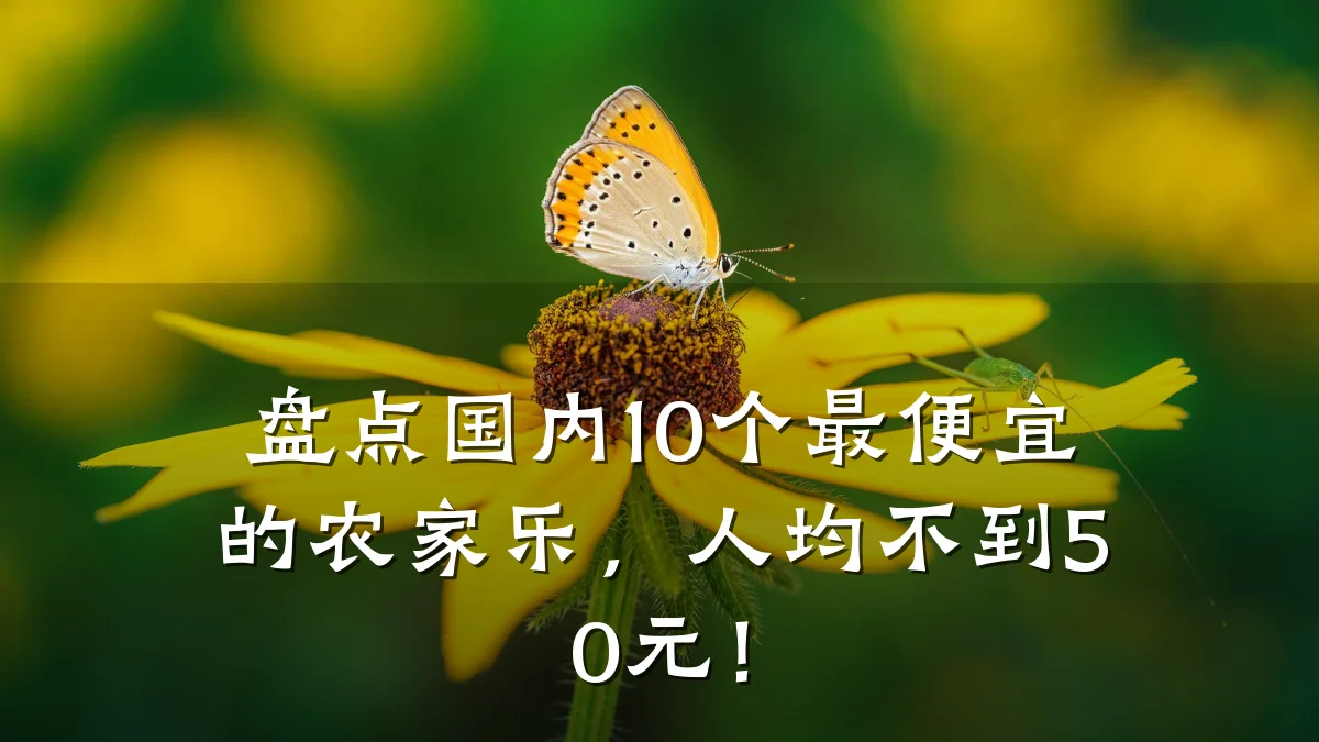 盘点国内10个最便宜的农家乐,人均不到50元!