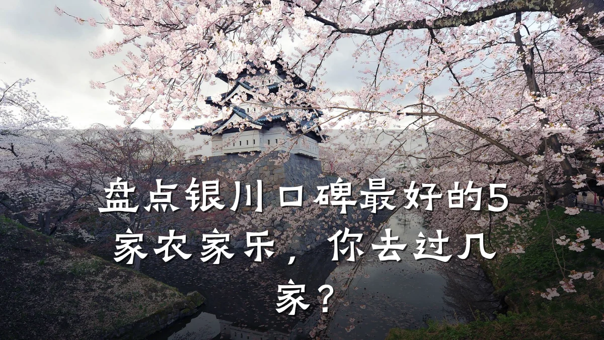 盘点银川口碑最好的5家农家乐，你去过几家？