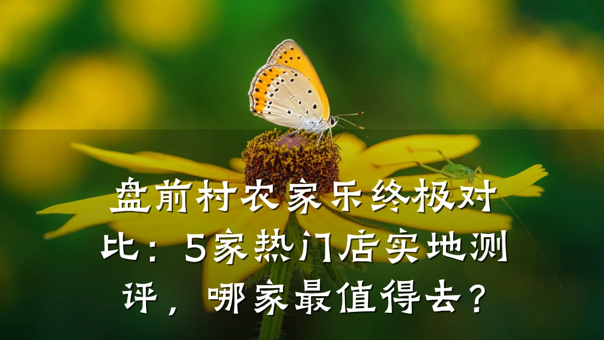 盘前村农家乐终极对比：5家热门店实地测评，哪家最值得去？